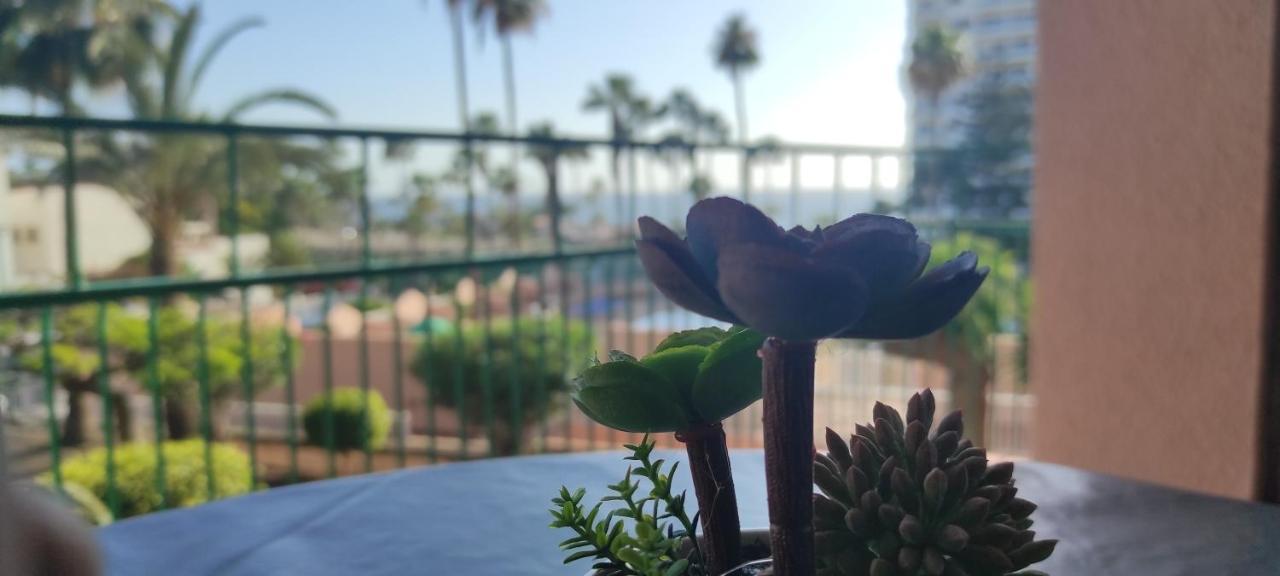 Playa Feñabe Acapulco Paradise מראה חיצוני תמונה